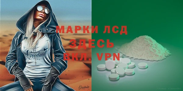 хмурый Арсеньев