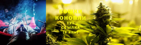 хмурый Арсеньев
