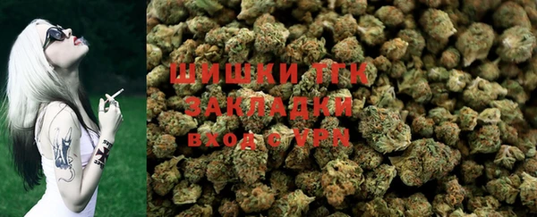 хмурый Арсеньев