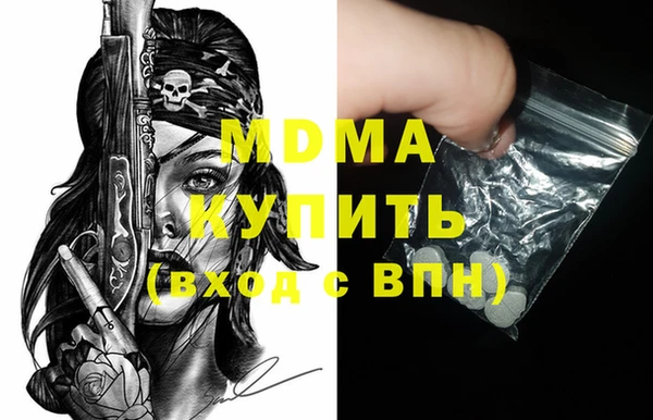 хмурый Арсеньев