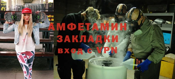 хмурый Арсеньев