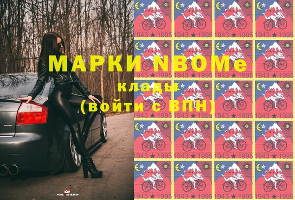 хмурый Арсеньев