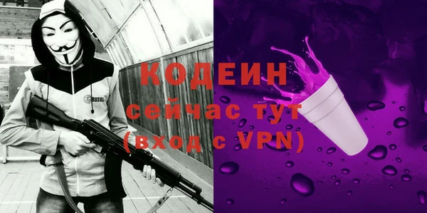 хмурый Арсеньев